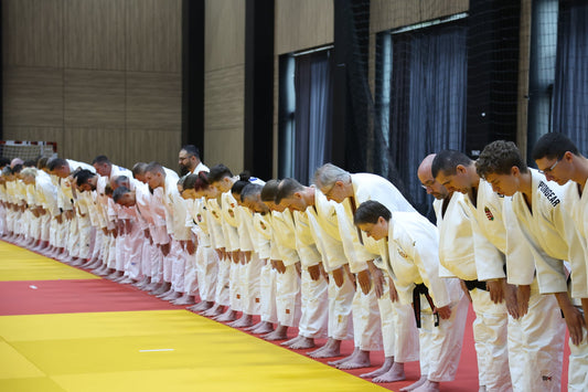 Sarajevo seminar puts Kodokan Kata learning at the heart of European judo - Image: EJU / European Judo Union