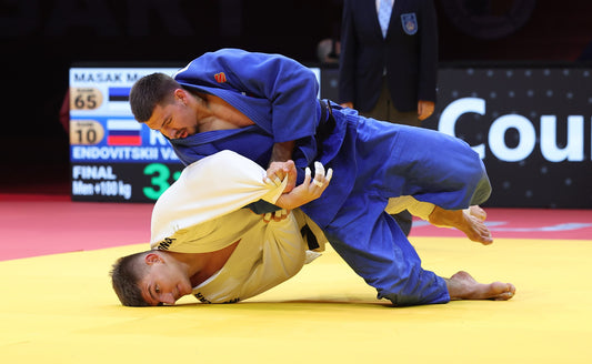 Two Scores Decide Budapest Heavyweight Final for Endovitskii - Image: IJF / International Judo Federation